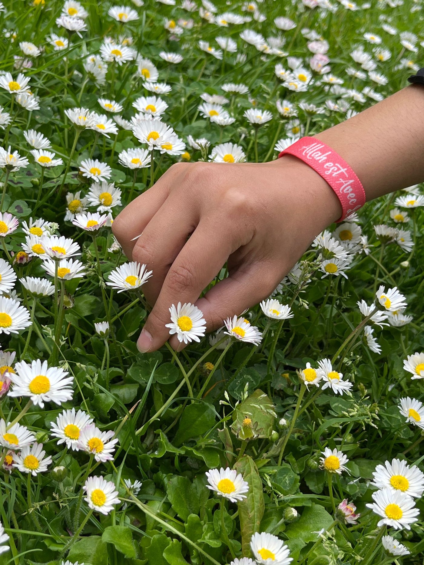 Bracelet Coran Lumiira